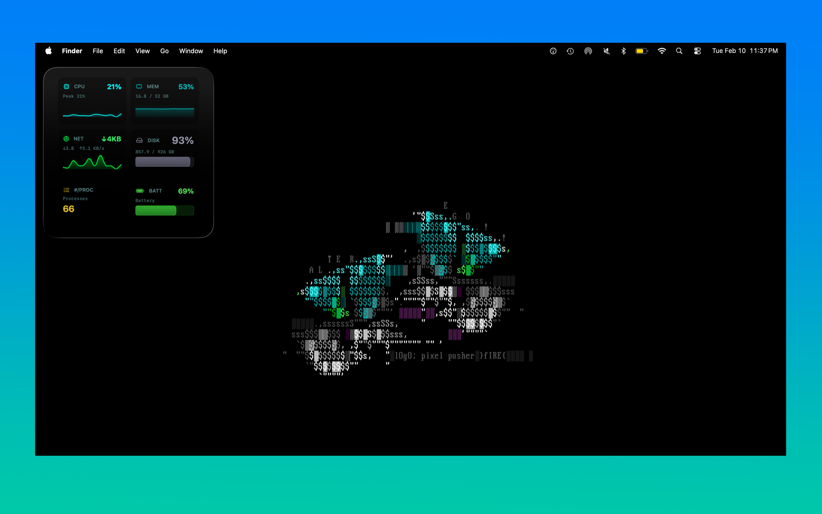 System Gauge widget panel with ASCII theme on dark desktop
