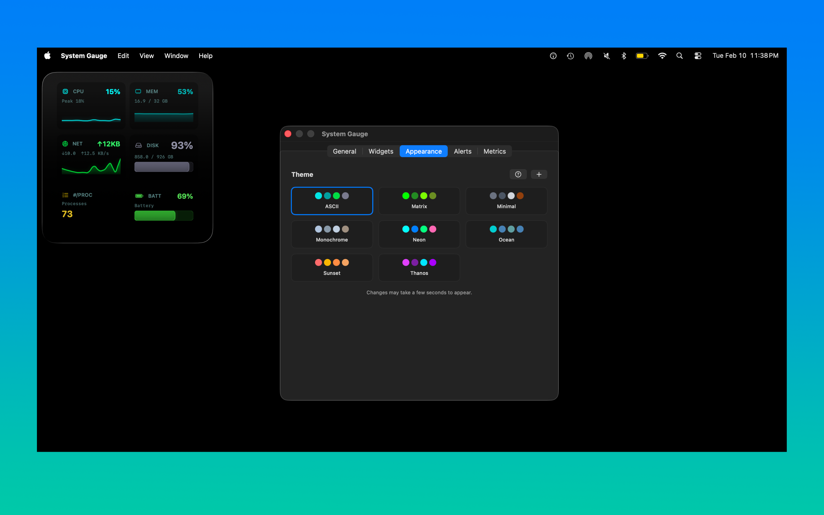 System Gauge appearance settings showing eight theme options